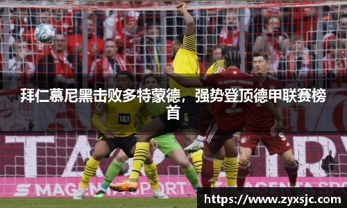 半岛bob·官方网站