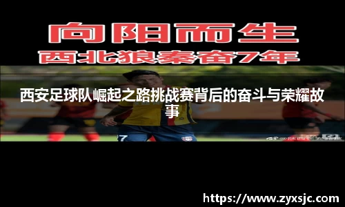 BoB半岛·体育中国官方网站